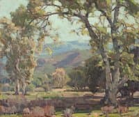 Sycamores near Santa Paula