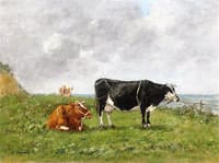 Cows by the Sea