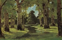 The Birch Grove