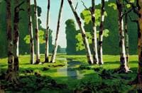 The Birch Grove