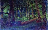 The Birch Grove