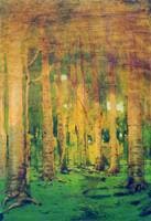 The Birch Grove