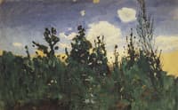 Wild Grass