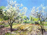 Plum Blossoms