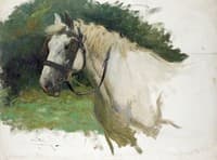 White Horse