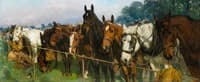 Mixed Company at a Race Meeting