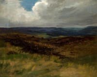 Moorland Scene
