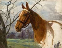 Chestnut Horse