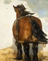 Shirehorse Hindquarters