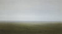 Steppe