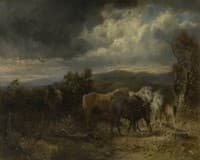Wind and Rain, New Forest Ponies