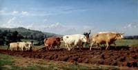 Plowing in Nivernais (Labourages nivernais)