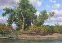Banks of the Missouri