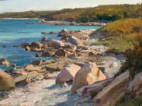 Shoreline