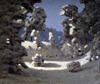 Sun Spots on the Snow