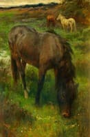 Ponies Grazing