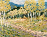 Taos Aspens