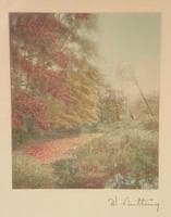 Bog River