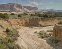 White Mesa Country