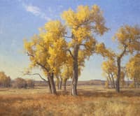 Golden Cottonwoods
