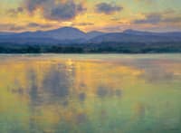The Evening Still