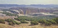 Southwestern Lands