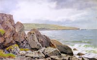 Along a Rocky Coast