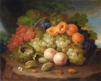 Still Life with Bird's Nest, Figs, Peaches and Grapes