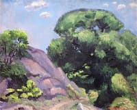Willows and Rocks