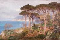 Landscape in the South of France