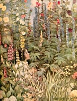 Cottage Garden