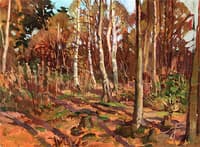 View of Algonquin Park