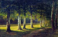 The Birch Alley