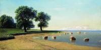 The Seashore