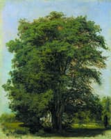 A Tree