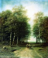 Road in the Forest