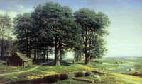 Oak Trees