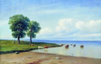 Cows on the Seashore