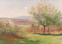 Flowering Trees, New England