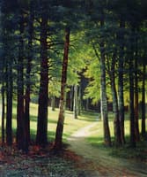 Wooded Landscape