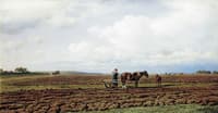 Ploughing