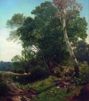 Forest Edge