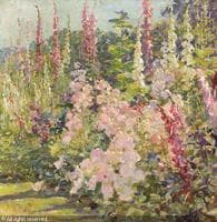 Hollyhocks