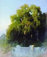 The Birch Grove