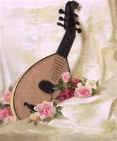 Mandolin and Roses