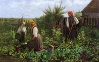 Tending the Garden