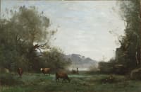 Cattle at Pasture in a Wooded Valley