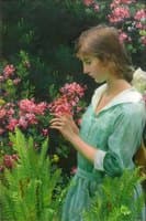 Wild Azaleas and Ferns