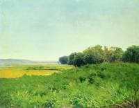 Meadow