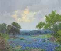 Texas Bluebonnets